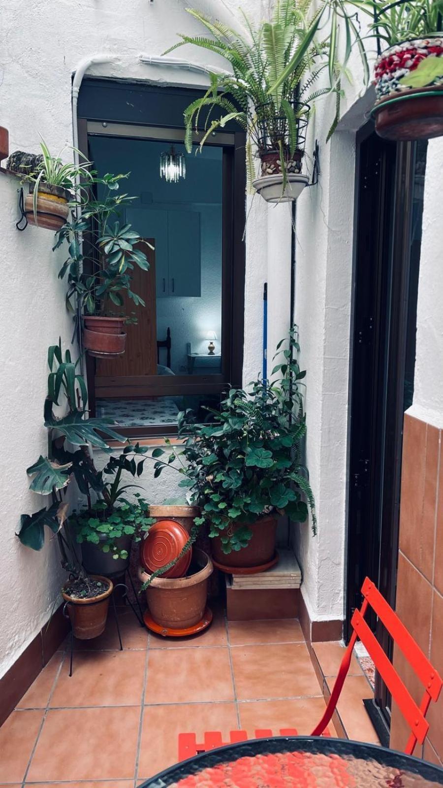 Vallaindiano Córdoba Kültér fotó
